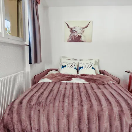 Rénové Cosy Et Centré, Ski-in Ski-out *