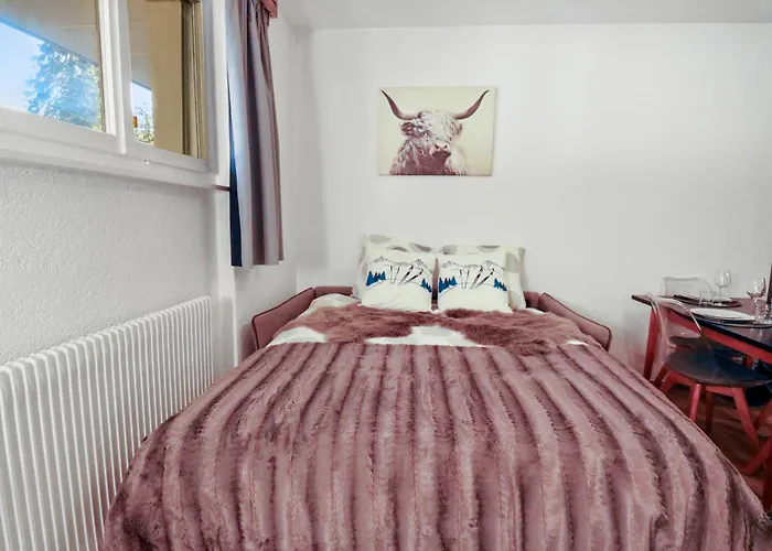 Rénové Cosy Et Centré, Ski-in Ski-out *